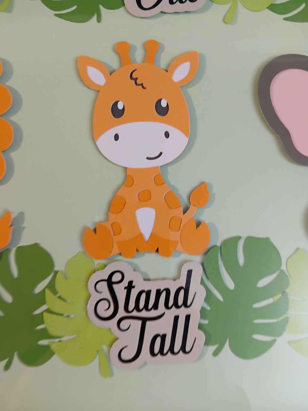 Jungle Animals Shadow Box 50cm x 50cm
