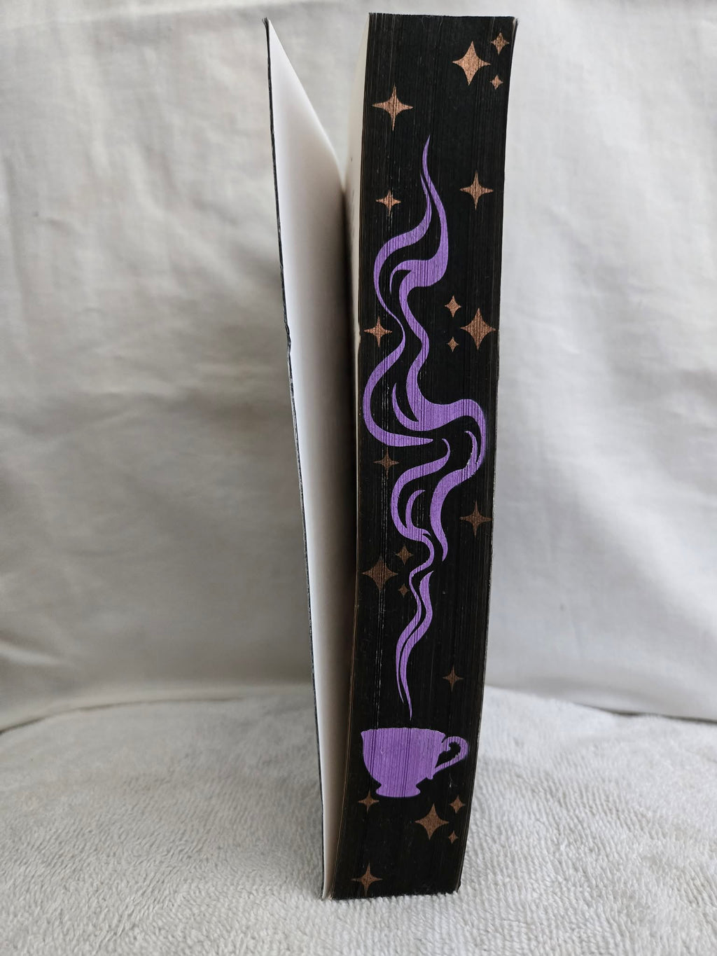 Stephanie Holmes – Fangs for Nothing (Second-Hand, Custom Sprayed Edges)