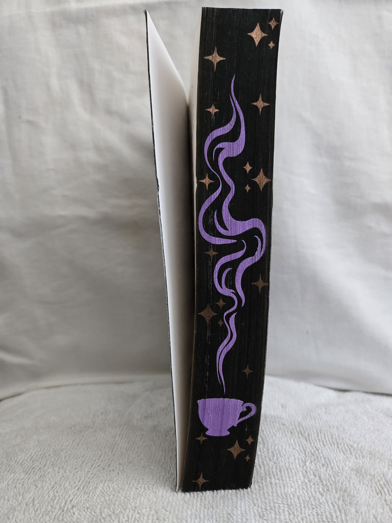 Stephanie Holmes – Fangs for Nothing (Second-Hand, Custom Sprayed Edges)